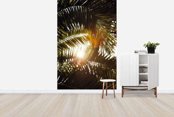 PHOTOWALL / Sunbeam through Palm Leaves (e40648)