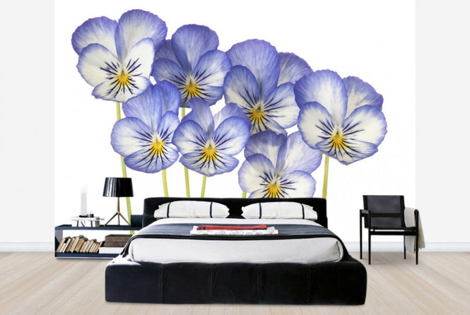PHOTOWALL / Blue Pansies (e40589)