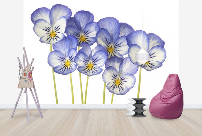 PHOTOWALL / Blue Pansies (e40589)