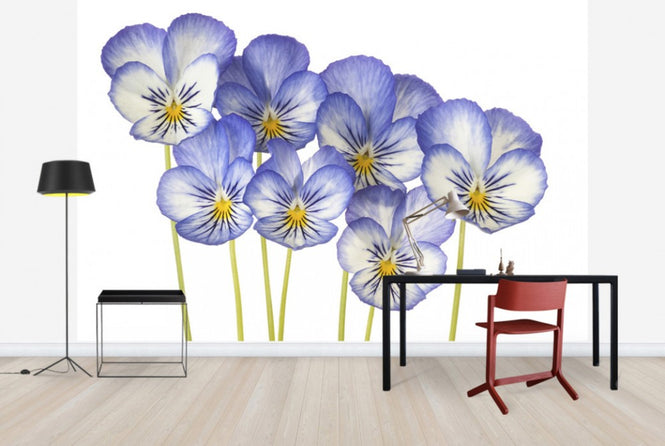 PHOTOWALL / Blue Pansies (e40589)