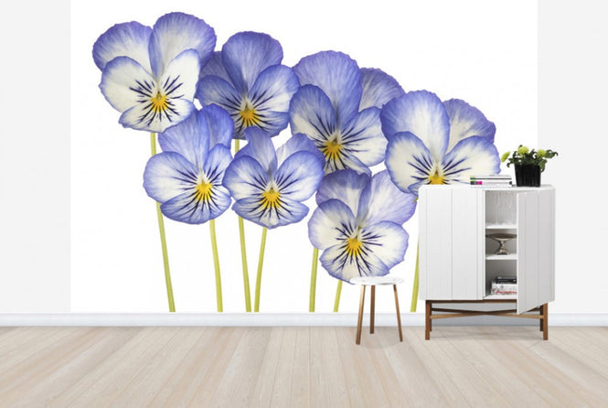 PHOTOWALL / Blue Pansies (e40589)