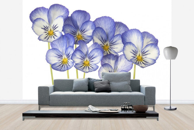 PHOTOWALL / Blue Pansies (e40589)