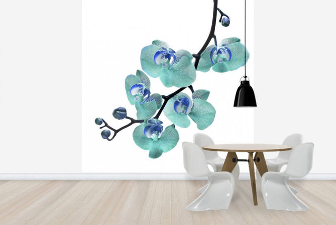 PHOTOWALL / Blue Phalaenopsis Orchid (e40590)