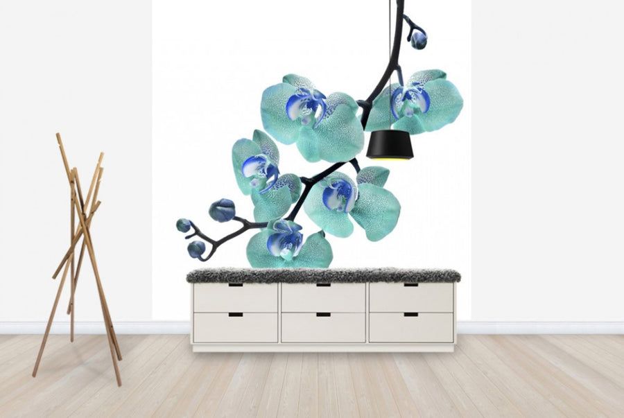 PHOTOWALL / Blue Phalaenopsis Orchid (e40590)