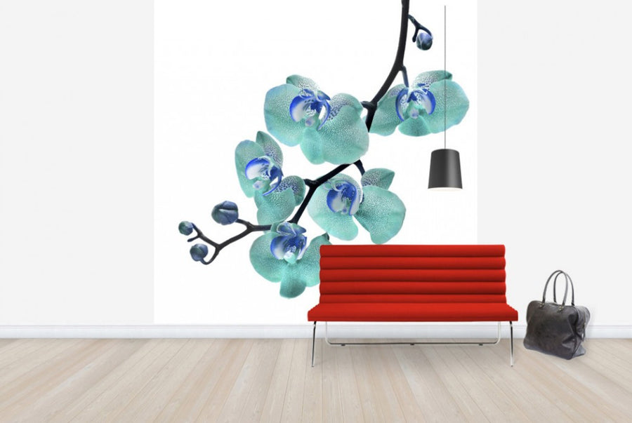 PHOTOWALL / Blue Phalaenopsis Orchid (e40590)