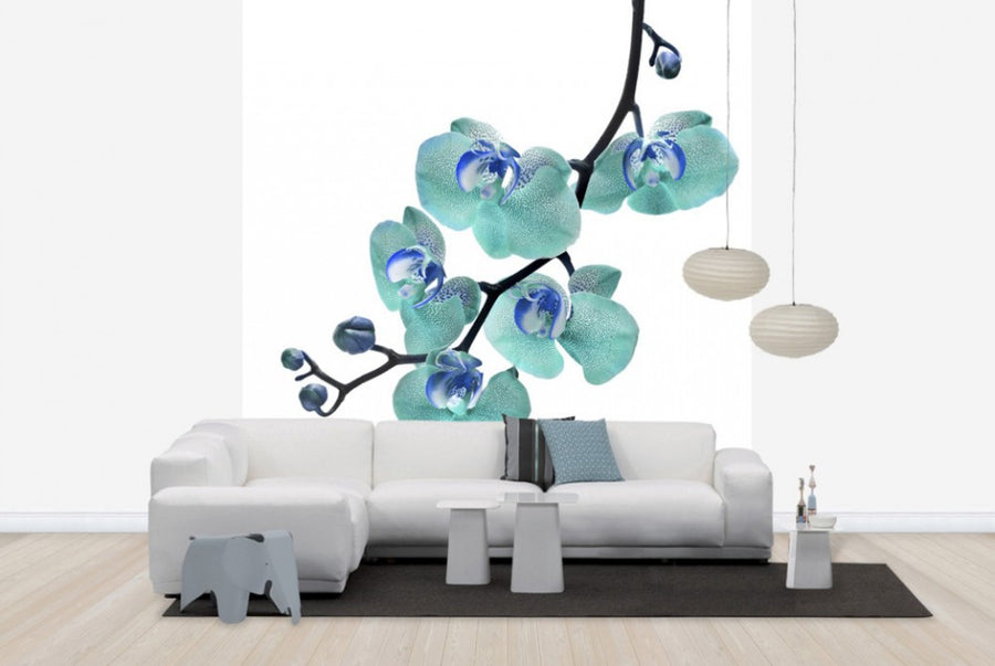 PHOTOWALL / Blue Phalaenopsis Orchid (e40590)