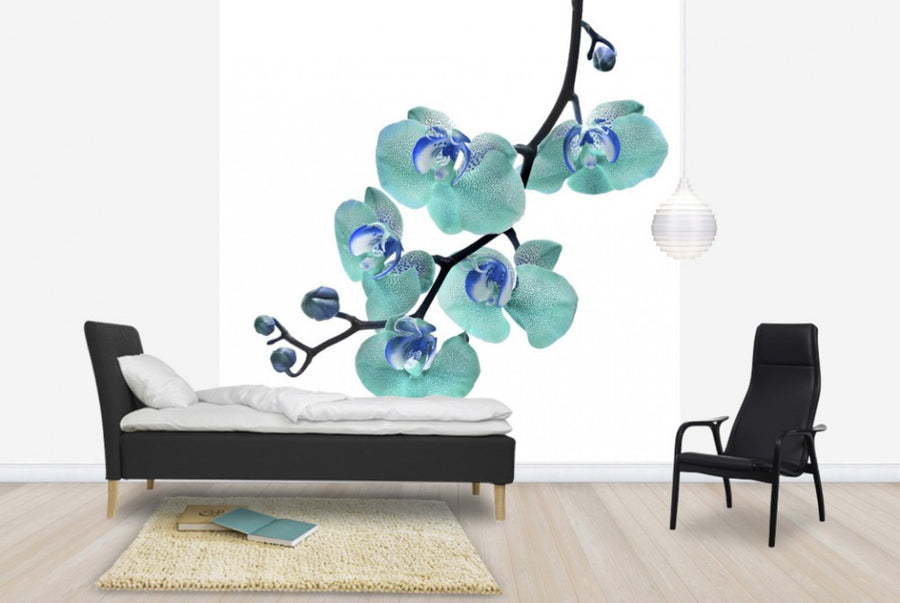 PHOTOWALL / Blue Phalaenopsis Orchid (e40590)