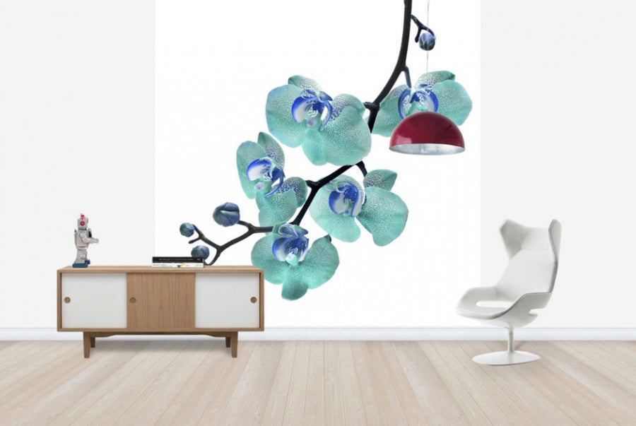 PHOTOWALL / Blue Phalaenopsis Orchid (e40590)