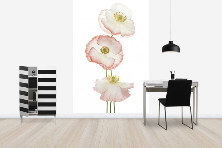 PHOTOWALL / Delicate Poppies (e40594)