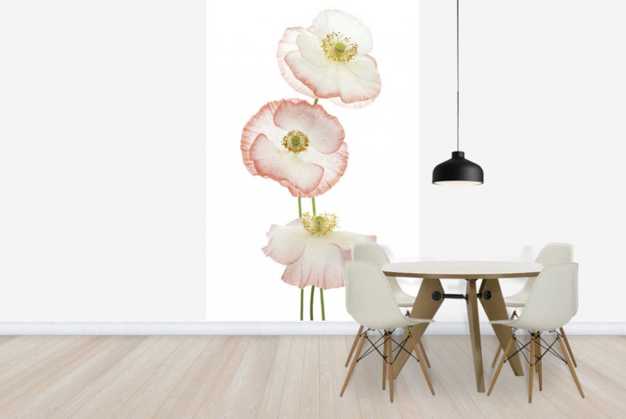 PHOTOWALL / Delicate Poppies (e40594)