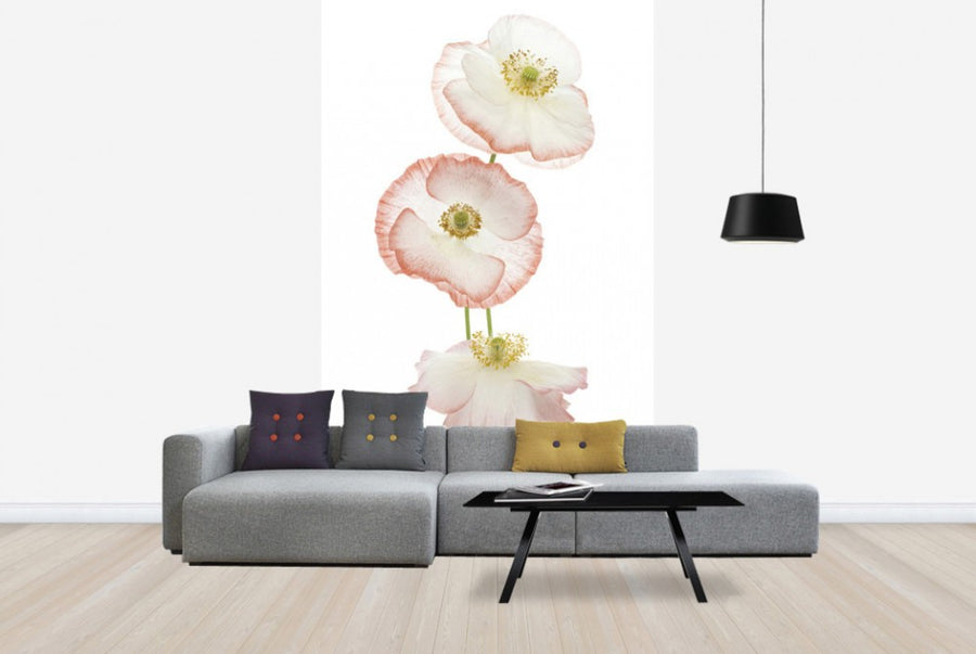 PHOTOWALL / Delicate Poppies (e40594)