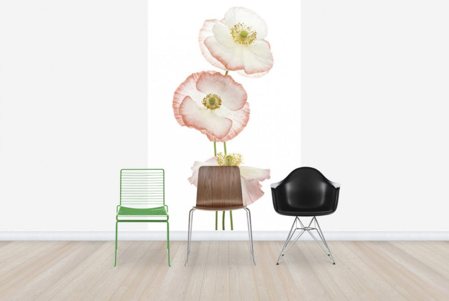 PHOTOWALL / Delicate Poppies (e40594)