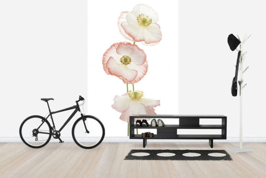 PHOTOWALL / Delicate Poppies (e40594)