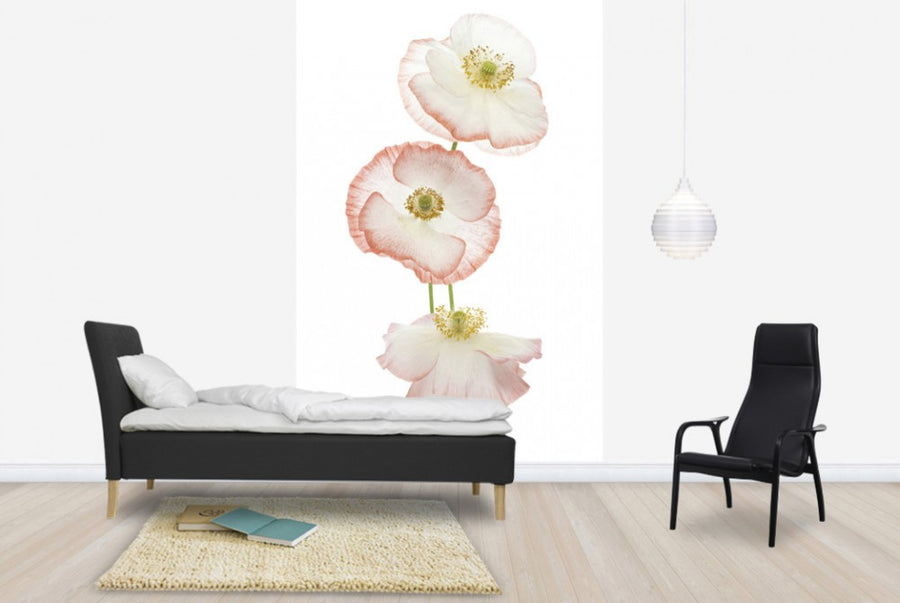 PHOTOWALL / Delicate Poppies (e40594)