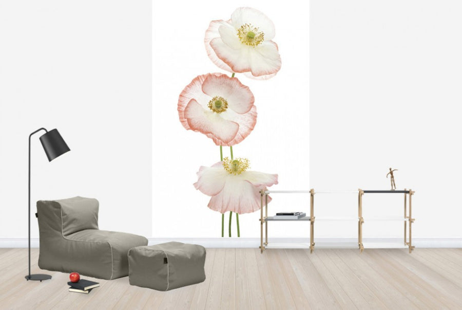 PHOTOWALL / Delicate Poppies (e40594)