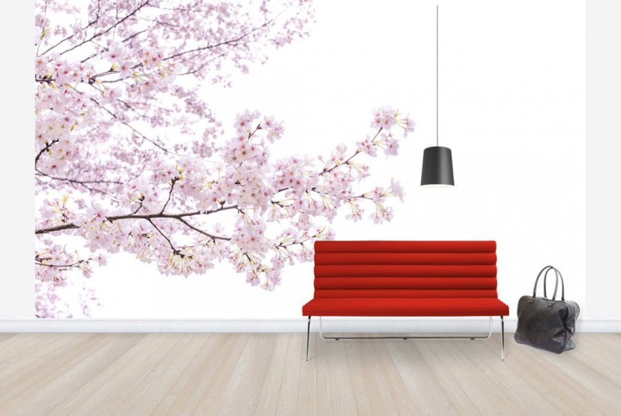 PHOTOWALL / Divine Cherry Blossoms (e40595)
