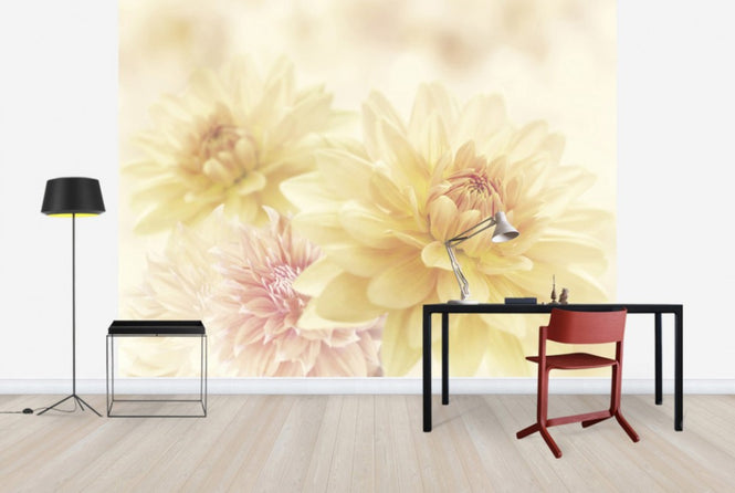 PHOTOWALL / Fair Dahlias (e40598)