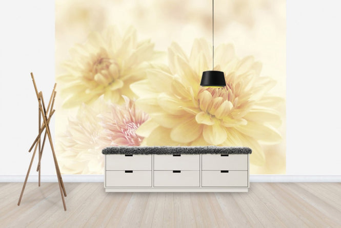 PHOTOWALL / Fair Dahlias (e40598)