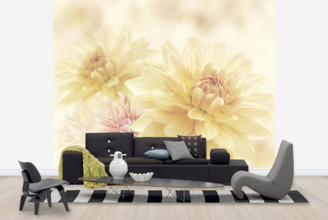 PHOTOWALL / Fair Dahlias (e40598)