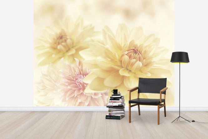 PHOTOWALL / Fair Dahlias (e40598)