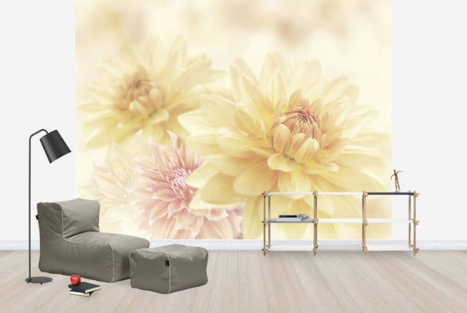 PHOTOWALL / Fair Dahlias (e40598)
