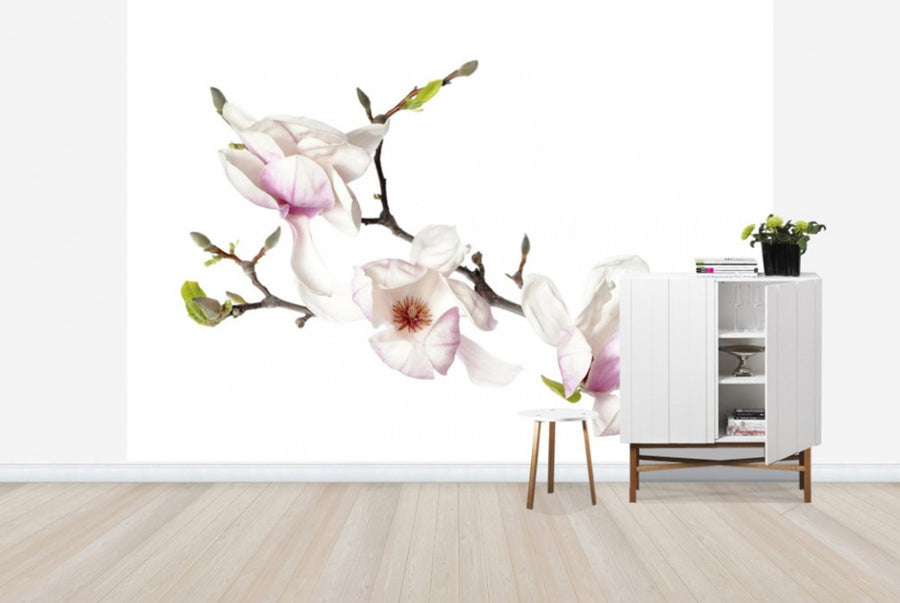 PHOTOWALL / Orchid Buds (e40603)