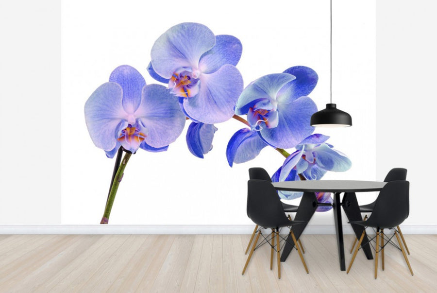 PHOTOWALL / Orchid Twig (e40604)