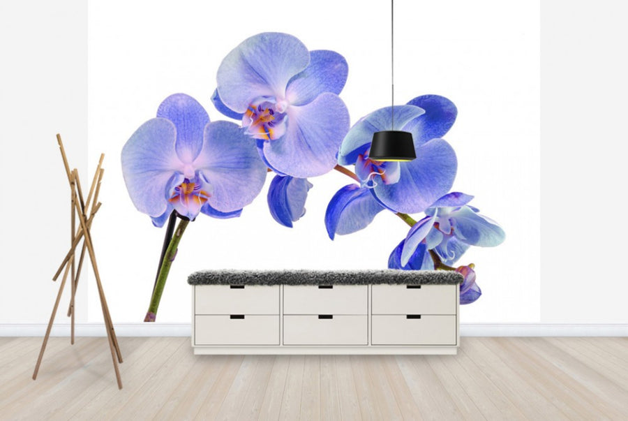 PHOTOWALL / Orchid Twig (e40604)