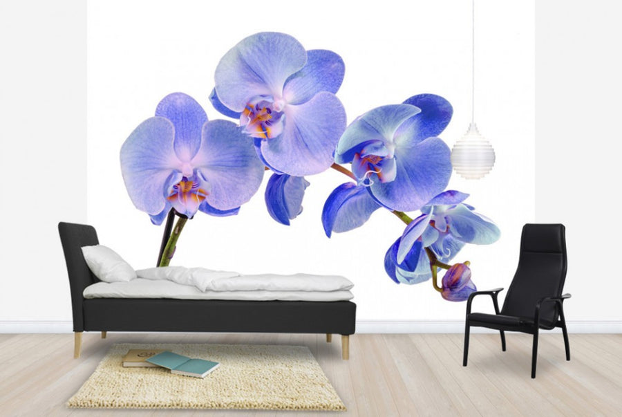 PHOTOWALL / Orchid Twig (e40604)