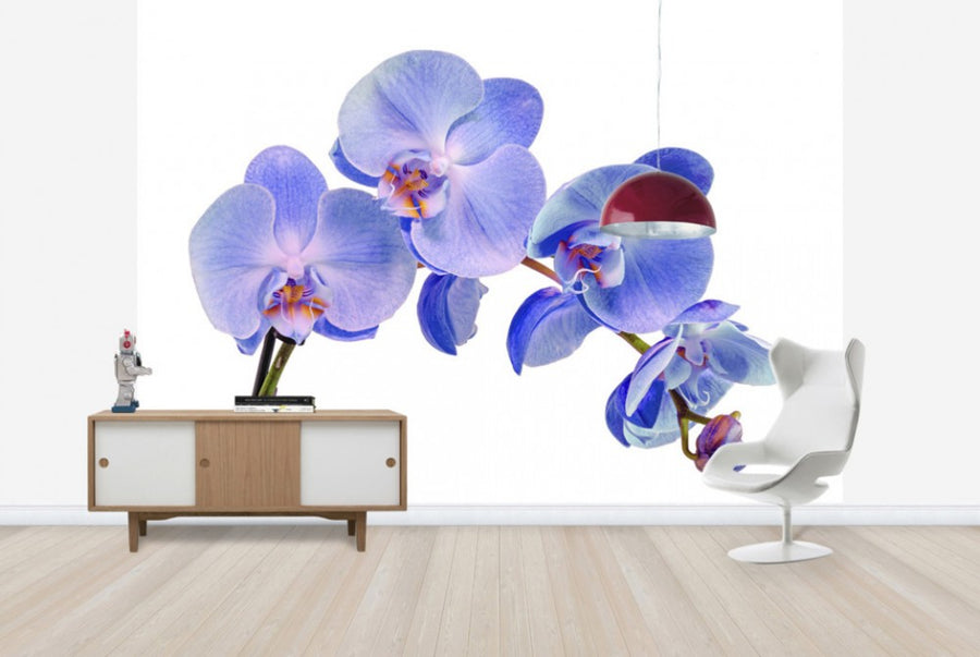 PHOTOWALL / Orchid Twig (e40604)