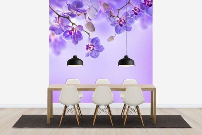 PHOTOWALL / Soft Purple Orchids (e40606)
