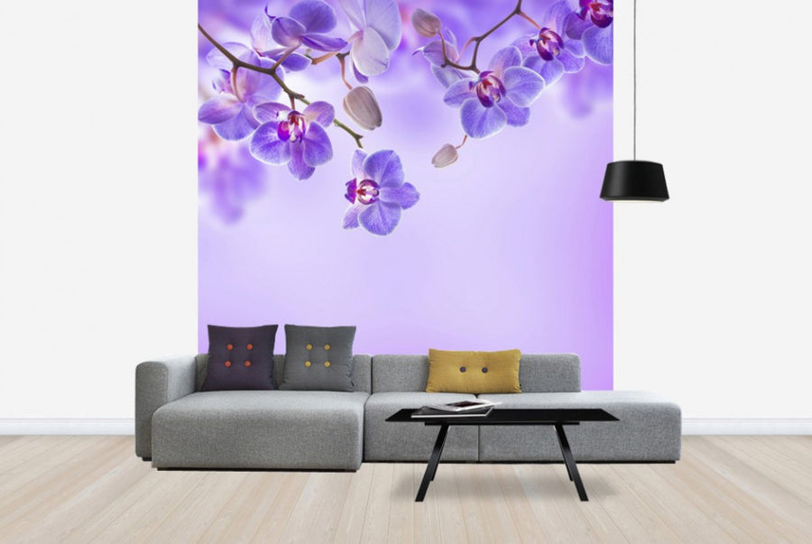 PHOTOWALL / Soft Purple Orchids (e40606)