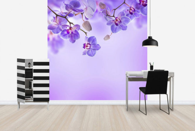 PHOTOWALL / Soft Purple Orchids (e40606)