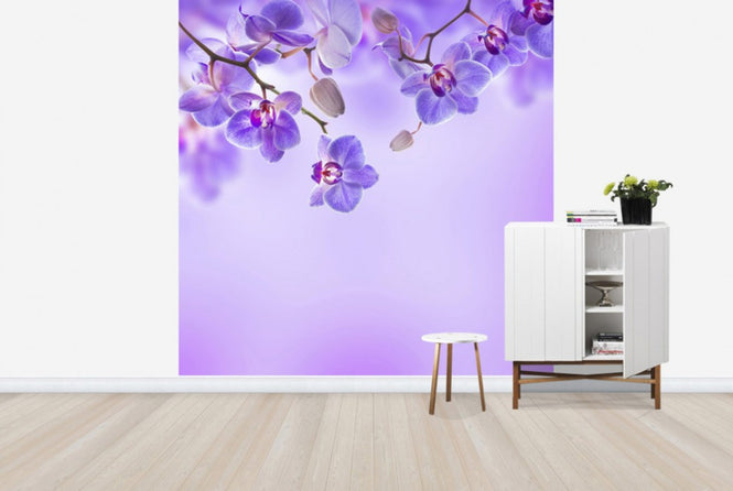 PHOTOWALL / Soft Purple Orchids (e40606)