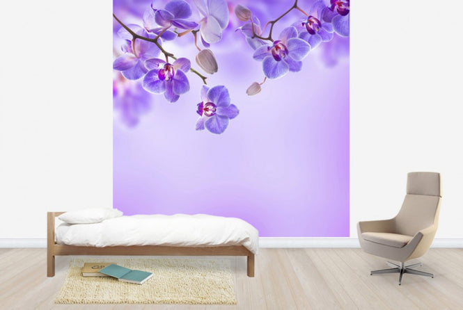 PHOTOWALL / Soft Purple Orchids (e40606)