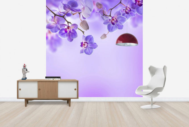 PHOTOWALL / Soft Purple Orchids (e40606)