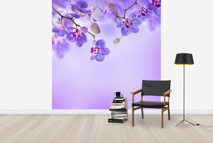 PHOTOWALL / Soft Purple Orchids (e40606)