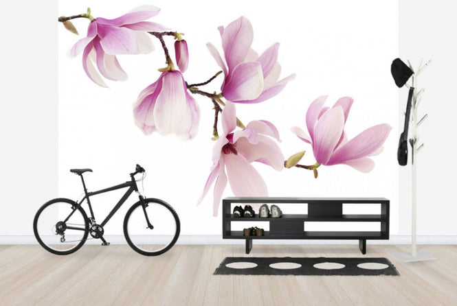 PHOTOWALL / Spring Magnolia (e40608)