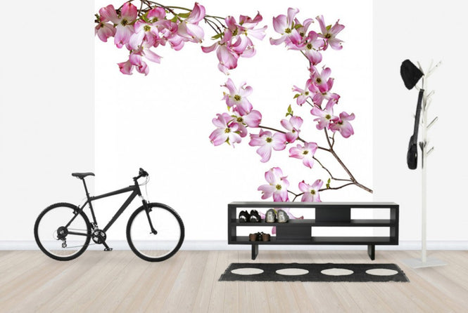 PHOTOWALL / Striped Orchid (e40609)