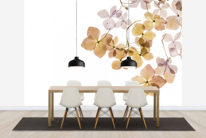 PHOTOWALL / Transparent Flowers (e40611)