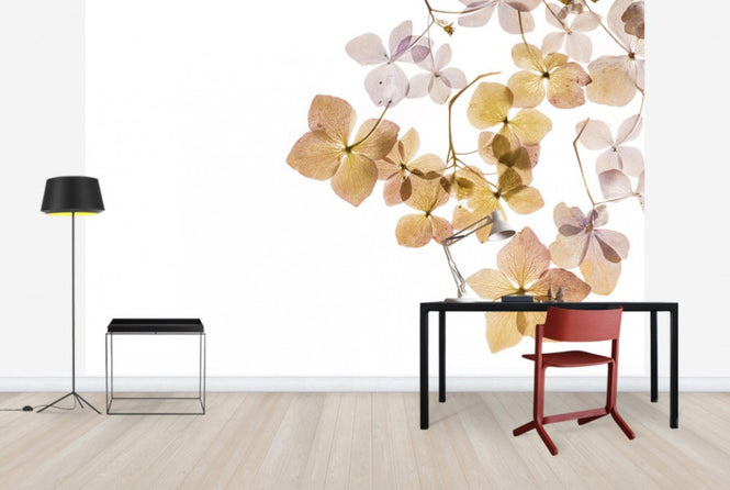 PHOTOWALL / Transparent Flowers (e40611)