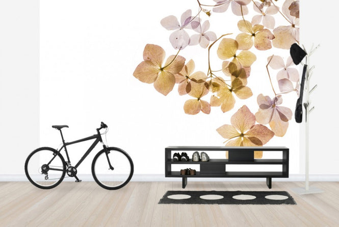 PHOTOWALL / Transparent Flowers (e40611)