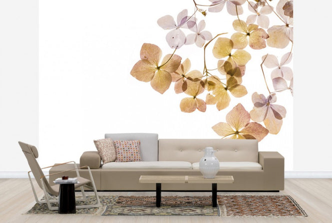 PHOTOWALL / Transparent Flowers (e40611)