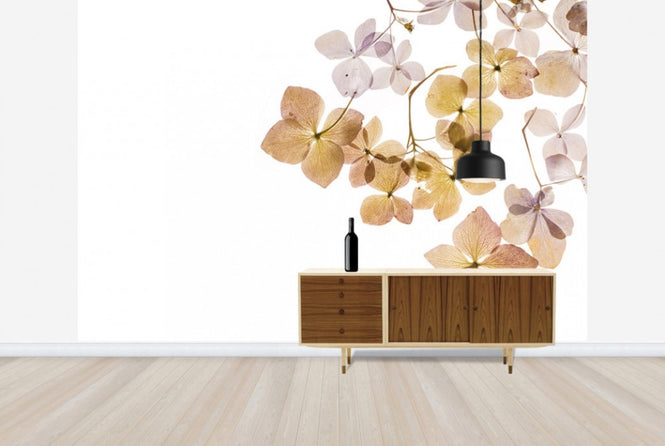 PHOTOWALL / Transparent Flowers (e40611)
