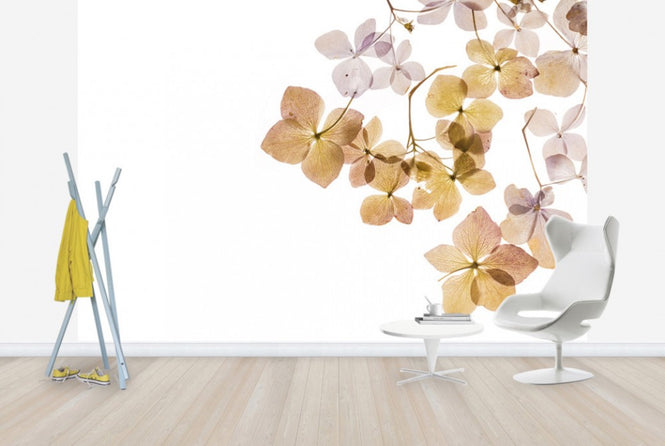 PHOTOWALL / Transparent Flowers (e40611)