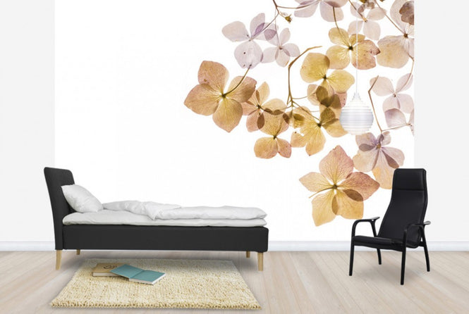 PHOTOWALL / Transparent Flowers (e40611)
