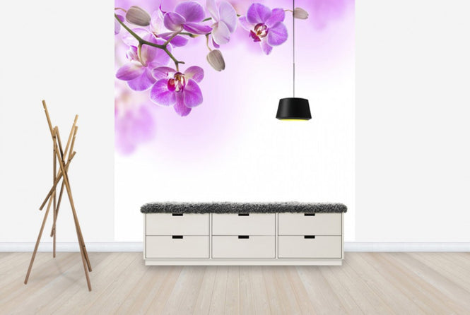 PHOTOWALL / Tropical Fuchsia Orchids (e40612)