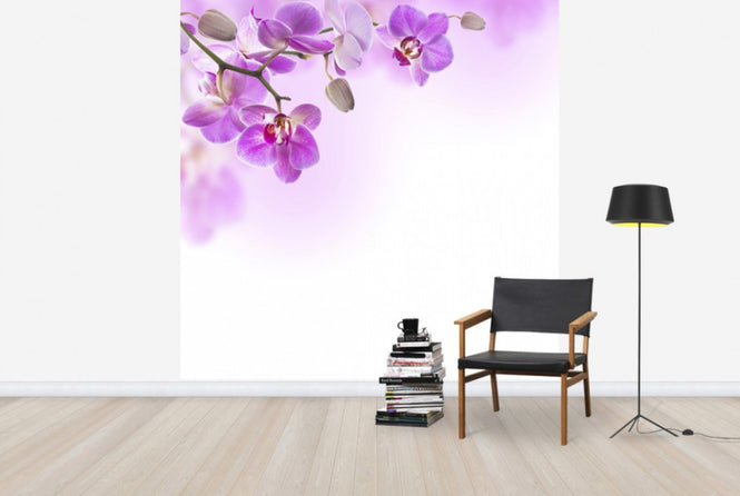 PHOTOWALL / Tropical Fuchsia Orchids (e40612)