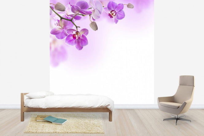 PHOTOWALL / Tropical Fuchsia Orchids (e40612)