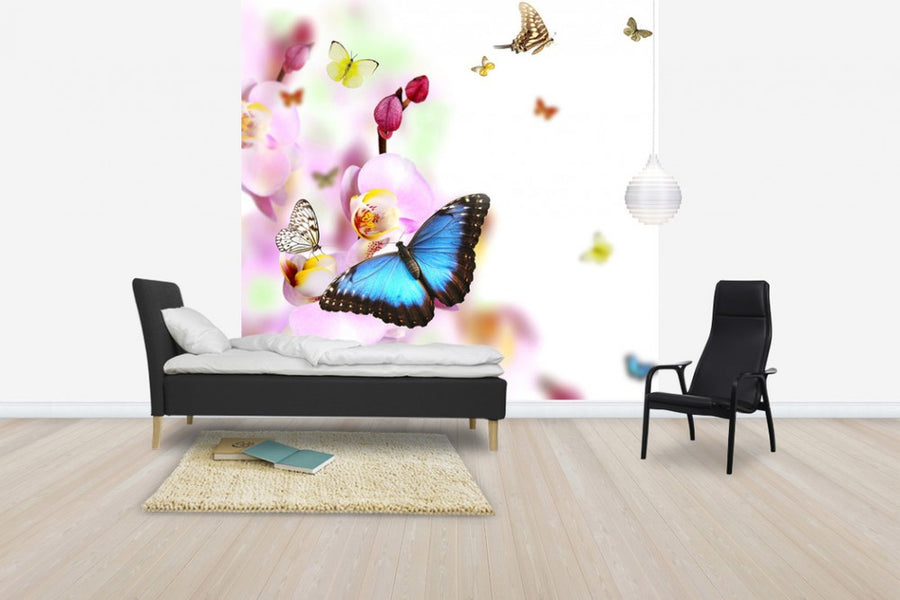 PHOTOWALL / Butterflies and Orchid Blossoms (e40689)